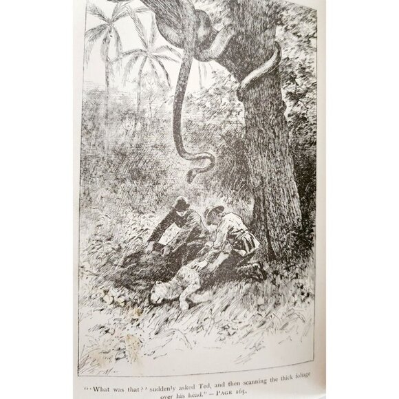 1889 Kibboo Ganey Wentworth 1st Edition Victorian HC Book Africa Adventure WHBS - Picture 5 of 9